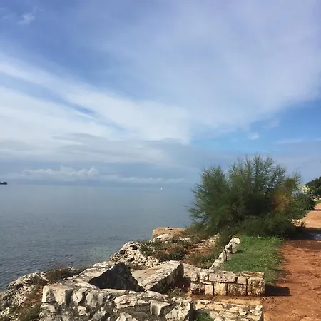 Villa Eva Karigador Novigrad Istria Exteriör bild