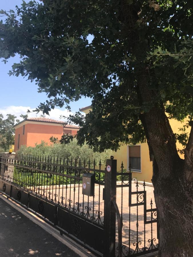 Eva Karigador Vila Novigrad (Istria)