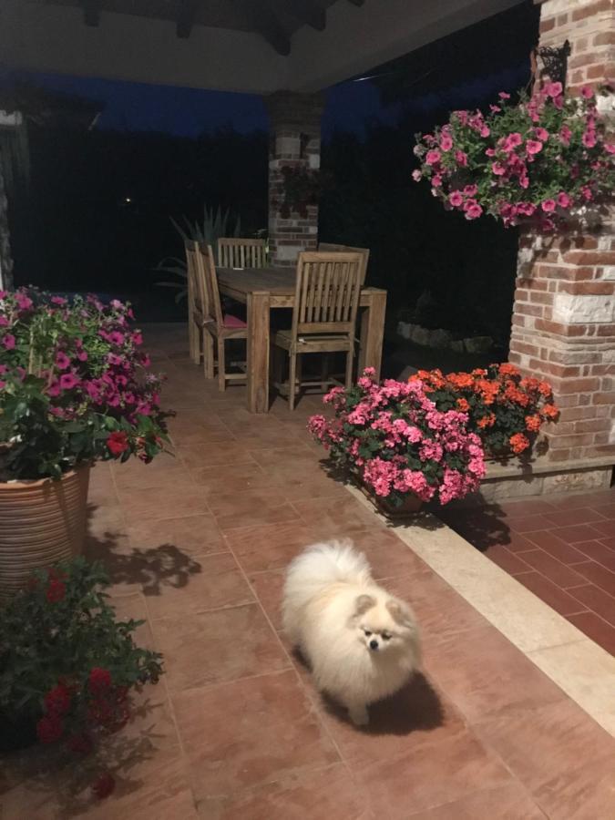 Eva Karigador Villa *