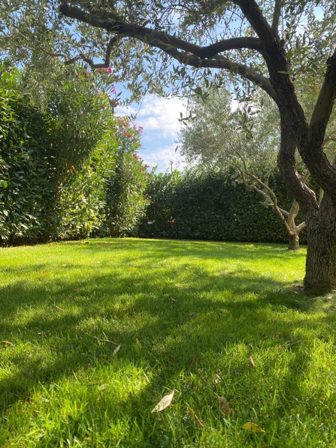 Villa Eva Karigador Novigrad Istria